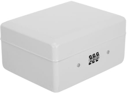 Ciieeo Organisateur De Clés Mural Boîte De Rangement Pour Clés Avec Serrure De Stockage Fonctionnelle