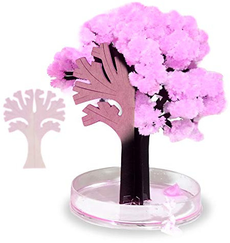 MonsterCadeaux - Arbre Magique Sakura - Fleurs de cerisiers Japonais - Arbre de cristallisation - Hauteur : 13,5 cm