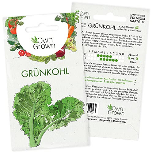 Grünkohl Samen: Premium Grünkohl Saatgut zur Anzucht von 200 Grünkohl Pflanzen – Wintergemüse Samen für Hochbeet und Garten – Samen Gemüse winterhart – Gemüse Samen – Saatgut Wintergemüse von OwnGrown