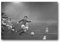 George Best Poster, berühmter Sportman, Wandkunst, Bild, Poster, Leinwanddruck, Poster, Kunstwerke, Raumdekoration, 40 x 60 cm