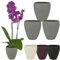 Spang Luna Orchideentopf Orchideen Übertopf Blumentopf Topf ○ Made in Germany (1er Set, Grau)