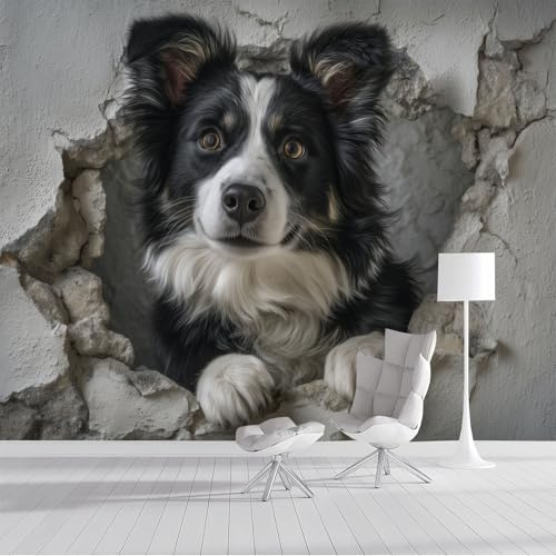 Tapete Fototapete 3D-Schäferhund Läuft Durch Ein Loch In Der Wand, 400x280cm Seidetapete Tapeten 3D Effekt, Tierportrait Dekorative Wandtapete Für Wohnzimmer Schlafzimmer Oder Akzentwand, Schwarz