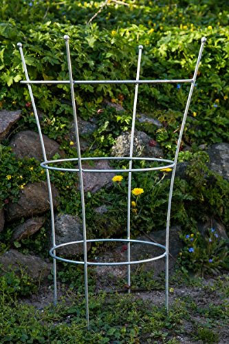 KUHEIGA Stabiler Staudenhalter Verzinkt H: 80cm, Volleisen Strauchhalter, Rankgerüst,