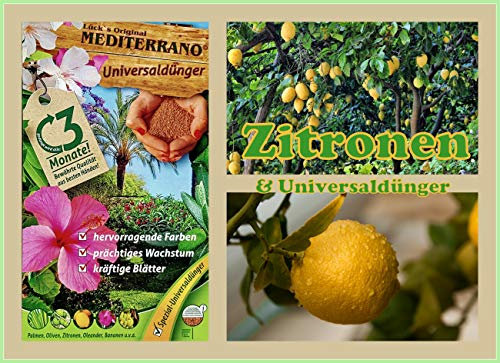 Zitrusdünger, Zitruspflanzendünger, Zitronendünger, Orangendünger 10 Kg Original Mediterrano