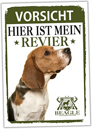 Beagle Schild Revier Jagd Türschild Hundeschild Warnschild Hund English