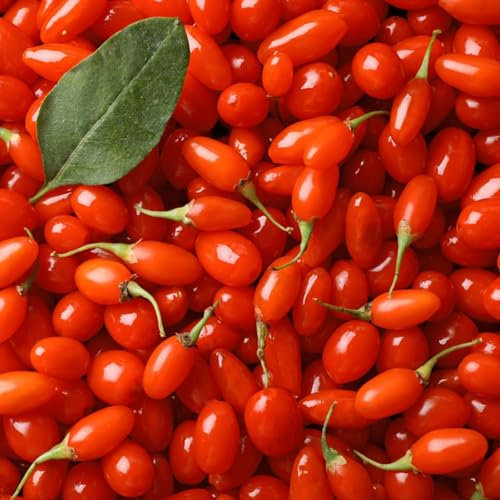 350 piezas Semillas de baya de goji, baya de goji, frutas exóticas macetas plantas de jardín Bayas de goji rojas, Lycium chinense, fruta columnar, regalos árboles frutales columnares,