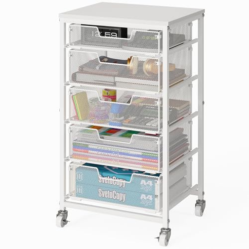 Sbanmao Mobiler Aktenschrank mit 5 Schubladen, unter dem Schreibtisch, mit Rollen, Weiß