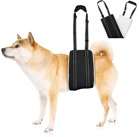 AOOHA Hunde Tragehilfe, Hund Hinten Lift Support Geschirr, Flauschig Weiches Material, Verstellbare Gehhilfe, Hundegeschirr für behinderte, verletzte oder ältere Hunde (M)