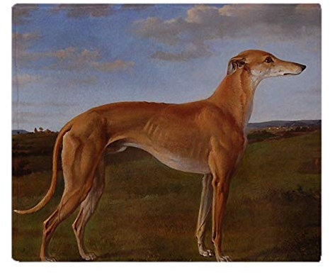 YISUMEI Decke Vintage Windhund Malerei Kuscheldecken Weich Flanell Fleecedecke Bettüberwurf(75x100cm)