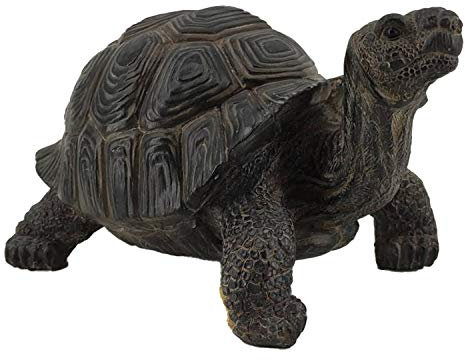 Tor001 Tortoise Tortoise Statue aus Polyresin, realistisch, 27,9 cm, handbemalte Figur, aufwendige Details, geeignet für den Innen- und Außenbereich, frost- und lichtbeständig, Rasen-Ornament