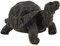 Tor001 Tortoise Tortoise Statue aus Polyresin, realistisch, 27,9 cm, handbemalte Figur, aufwendige Details, geeignet für den Innen- und Außenbereich, frost- und lichtbeständig, Rasen-Ornament