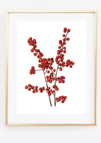 Din A4 Kunstdruck ohne Rahmen - Rote Winterbeere - Beere Korallenhülse - Zweig Strauch Ast Winter - Aquarell Poster Druck Bild