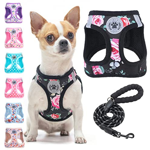 BEAUTYZOO Step in Set Geschirr und Leine für Hunde und Katzen – Blumenmuster – reflektierend – zieht Nicht und erstickt Nicht – für Hunde und Katzen – weich gepolstertes Mesh-Geschirr für
