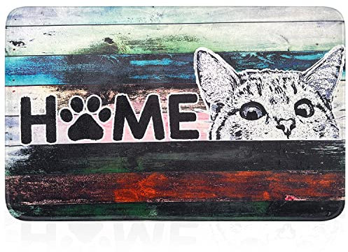 JJUUYOU Welcome Fußmatte außen und innen, rutschfeste Schmutzfangmatte Türmatte, waschbar Fussmatte aussen für Haustür, Eingangsbereich, Garten 45x75cm,Weiß