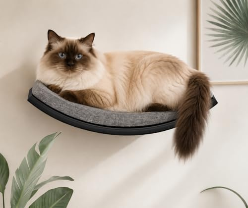 Gebogenes Katzen-Wandregal, Katzen Kletterwand mit Schaumstoffmatte, Wandmontiertes Massivholz Katzenwandmöbel für Klettern/Spielen/Schlafen
