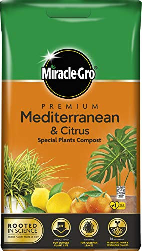 Miracle-Gro 119784 Premium Mediterranean & Citrus Compost - 6 Litre Bag, (New 2020 Range), Orange
