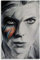 Puzzle für 1000 Teile Britischer Rockmusiker David Bowie Holz Puzzlespiel Erwachsenen und Kinder puzzle Poster 1000 Piece 29.5x19.6inch(75x50cm) Kein Rahmen