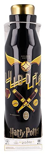Botella reutilizable térmica de acero inoxidable de 580 ml de Harry Potter