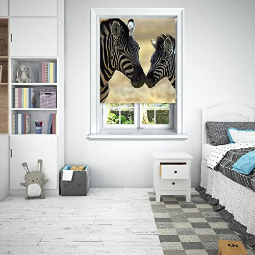 Lister Cartwright Photographic Blackout Roller Blinds For Bedroom Windows - (120 x 140 cm) Easy to Fit Polyester Roller Blinds For Windows With Child Safety Included - Zebras