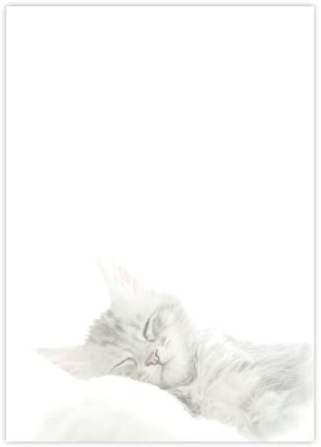 Briefpapier mit Katzen DIN A4 - Papier Katze - 20 Blatt - Motiv Nr. 168 | 80g/m²