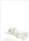 Briefpapier mit Katzen DIN A4 - Papier Katze - 20 Blatt - Motiv Nr. 168 | 80g/m²