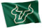 Desert Cactus Flagge der Universität Südflorida, 100 % Polyester, für drinnen und draußen, 91 x 152 cm (Flagge A)