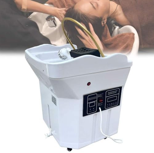 Équipement De Spa Japonais, Thermostatique Salon De Circulation d'eau à Double Contrôle avec Réservoir De Stockage d'eau De 60 L Bassin Shampoing pour Salons Et Spas