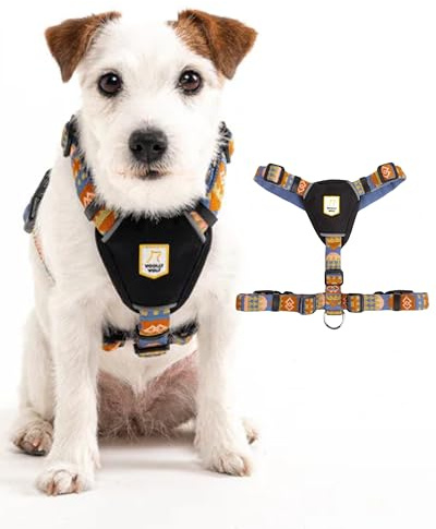 Woolly Wolf Nightless Night Dog Harness S - Hundegeschirr für kleine Hunde aus recyceltem Polyester, Perfekte Passform und Reflektoren für erhöhte Sichtbarkeit