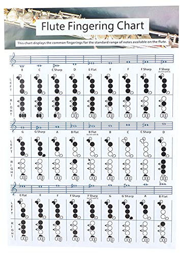 Flöten-Akkordtabelle, Tragbare Flöten-Grifftabelle, Weiße Akkordtabelle für Flöten-Griffübungen, Beschichtetes Papier, Zubehör für Blasinstrumente (Grifftabelle für Flöte, groß