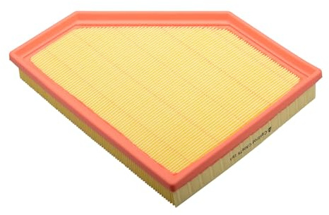 Castrol Filters CA0678 Air Filter