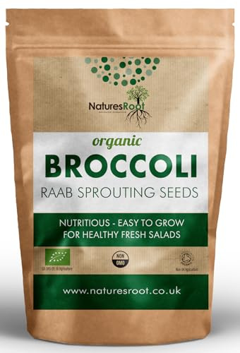 Natures Root Organic Broccoli Sprouting Seeds 1kg - Superfood | Non GMO | Microgreen Sprouts