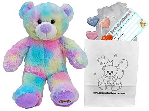 Splodge Teddy Parties Regenbogen-Teddybär - Teddybären zum Selbermachen – Teddygröße: 25cm – Bauen Sie Ihren eigenen Teddybär - ohne Nähen