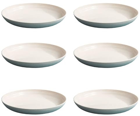 AGSYFFD Juego de 6 platos llanos de plástico, 23 cm, irrompibles, aptos para microondas y lavavajillas