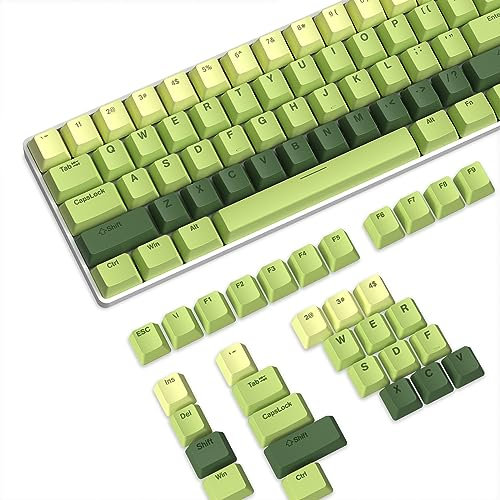 PBT Keycaps 112 Keys OEM Profile Double-Shot Full Keycap Set ANSI ISO Layout for Mechanical Keyboard, Compatible with MX Switches Cherry/Gateron/Kailh/Akko Switch (Light Green Gradient, Only Keycaps)
