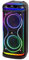 Trevi XFest XF 650 KB Speaker Wireless Portatile 100W, Altoparlante con Microfono Dinamico Incluso, Ingressi USB, Micro SD e AUX-IN, Funzione TWS, Karaoke Party Speaker, Ideale per Feste o Eventi