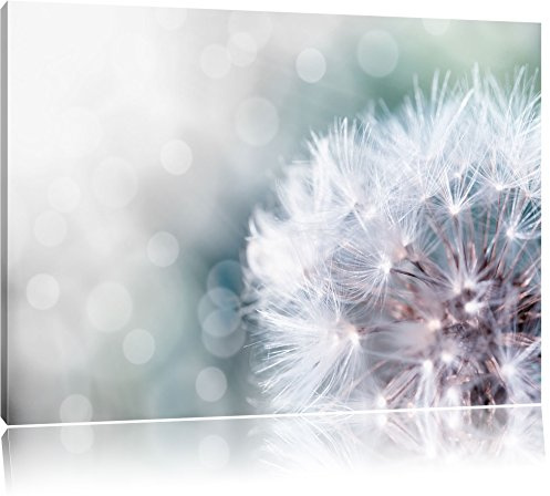 Pixxprint Zauberhafte Pusteblume, Größe: 120x80cm, Leinwandbild, fertig gespannt, Wandbild, Dekoration, Kunstdruck, kein Poster