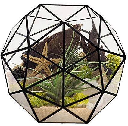 Geometrisches Terrarium-Pflanzgefäß, Glas, Blumentopf, Container, Luftpflanzen-Display für Sukkulenten, Balkon, Tischplatte, Miniatur, Feengarten, modernes Dekor