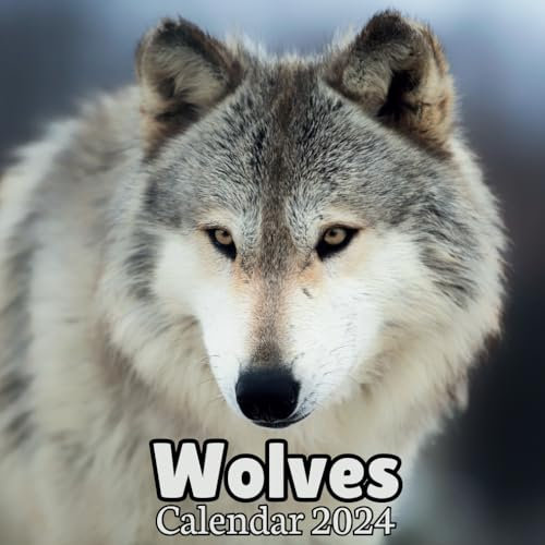 Wolves Calendar 2024: 16 Months Calendar ,Schedule Organizer From September 2023 to December 2024 ,For wolf lovers , Men , Women , Girls , Boys