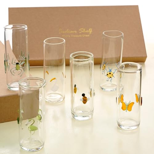Indian-Shelf Clear Unique Cute Shot Glasses Set of 6 Whiskey, Tequila, Vodka, Liquors Gifts for Men or Women Bar Set