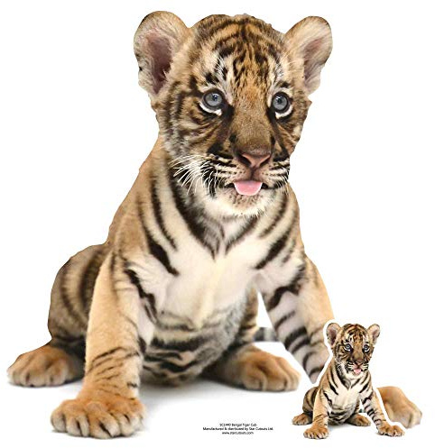 Star Cutouts SC1440 Bengal Tiger Cub Sitting Star Mini Cardboard Cutouts Perfect for Animal Lovers, Indian Theme Parties and Events Height 73cm, Multicolour