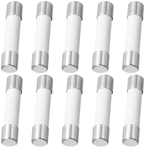 QUARKZMAN 10er Packung Keramik Sicherung 30A, Träge Feinsicherung 5x20mm Glassicherung 250V für Lichtern, Elektronik