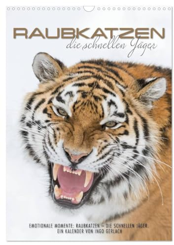 Emotionale Momente: Raubkatzen - die schnellen Jäger. (Wandkalender 2026 DIN A3 hoch), CALVENDO Monatskalender: Raubkatzen sind die schnellen Jäger in ... zur Verfügung gestellt- (CALVENDO Tiere)