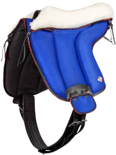 Pioneer Satteldecke aus Mikrofaser und Memory-Schaum (hellblau)