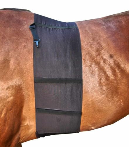 AMKA Sporenschutzgurt für Pferde Sporenschutz Bandage Schutz KLEIN GESCHNITTEN