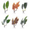 6 PCS Betta Fish Accessories, Fish Tank Decoration Betta Bed Leaf,Double Leaf Betta Pad,Aquarium Plants Live Decoration Plastic Plant for Betta Habitat,Betta Fish Tank Accessories with Suction Cup