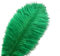 Sowder 10pcs Strauß-Federn 12-14inch (30-35cm) für Haupthochzeits-Dekoration (dunkelgrün)