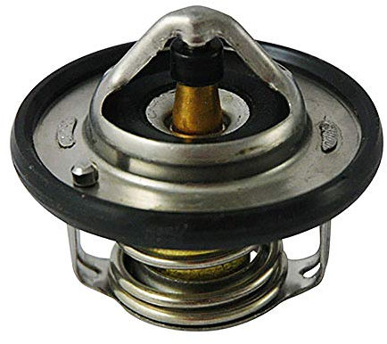 FAE 5308182 Thermostate