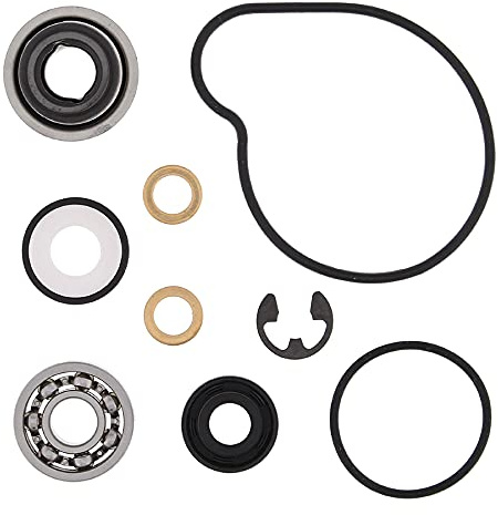 Vertex Gasket 821839 Kit di ricostruzione della pompa dell'acqua compatibile con/sostituzione per Arctic Cat 500 4x4 w/AT 2000-2002 500 Kit di ricostruzione della pompa dell'acqua, 500 FIS 4x4 w/AT