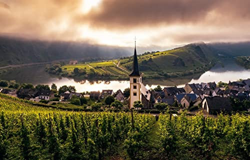 LHJOYSP puzzle-1000-teile Stadtkirche neblig Mosel Trier Weinberg 75x50cm