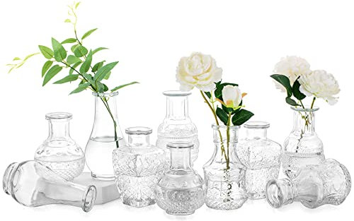 Nuptio Kleine Glasvase für Blumen 10 Stück Knospe Vasen Klar Vintage Mini Blumenvase Dekorativ für Rustikale Hochzeit Mittelstücke Geburtstagsparty Baby-dusche Wohnzimmer Tisch Dekorationen